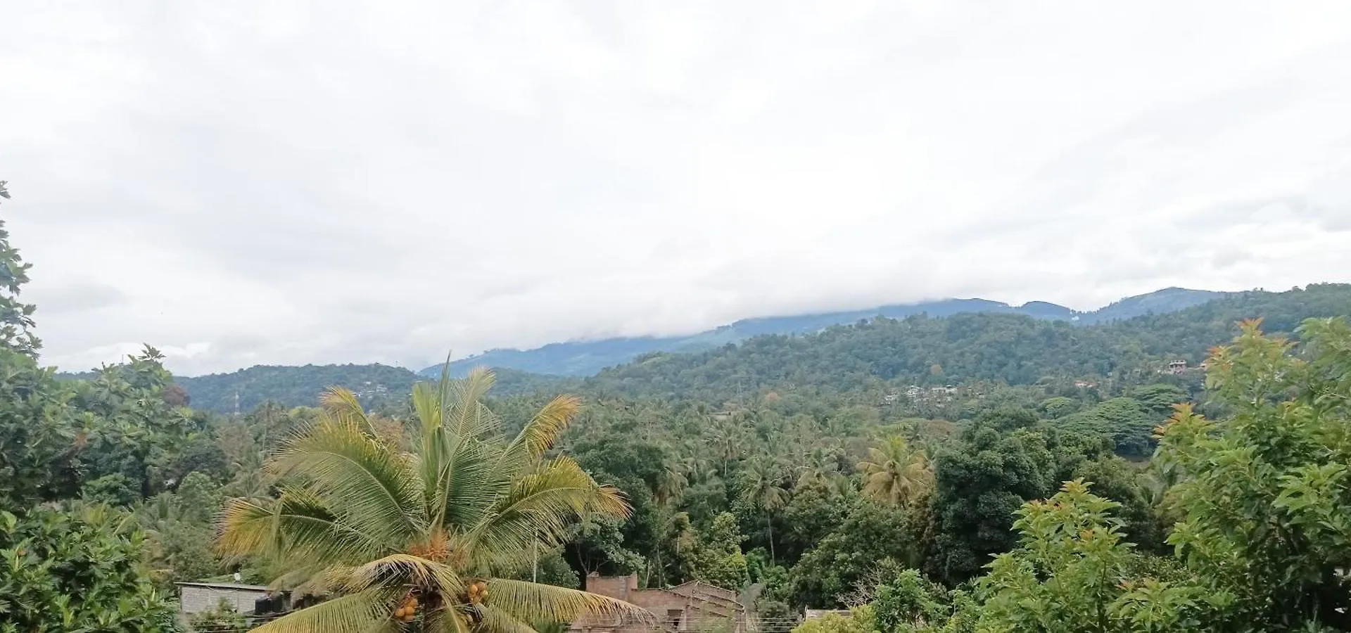 Johans Villa Kandy